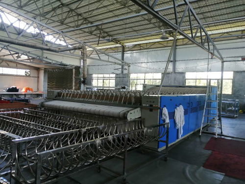 洗涤厂转让与技术转让 全面指南与注意事项