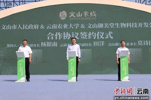 科技赋能传统美食 云南农业大学科研助力文山米线产业升级纪实